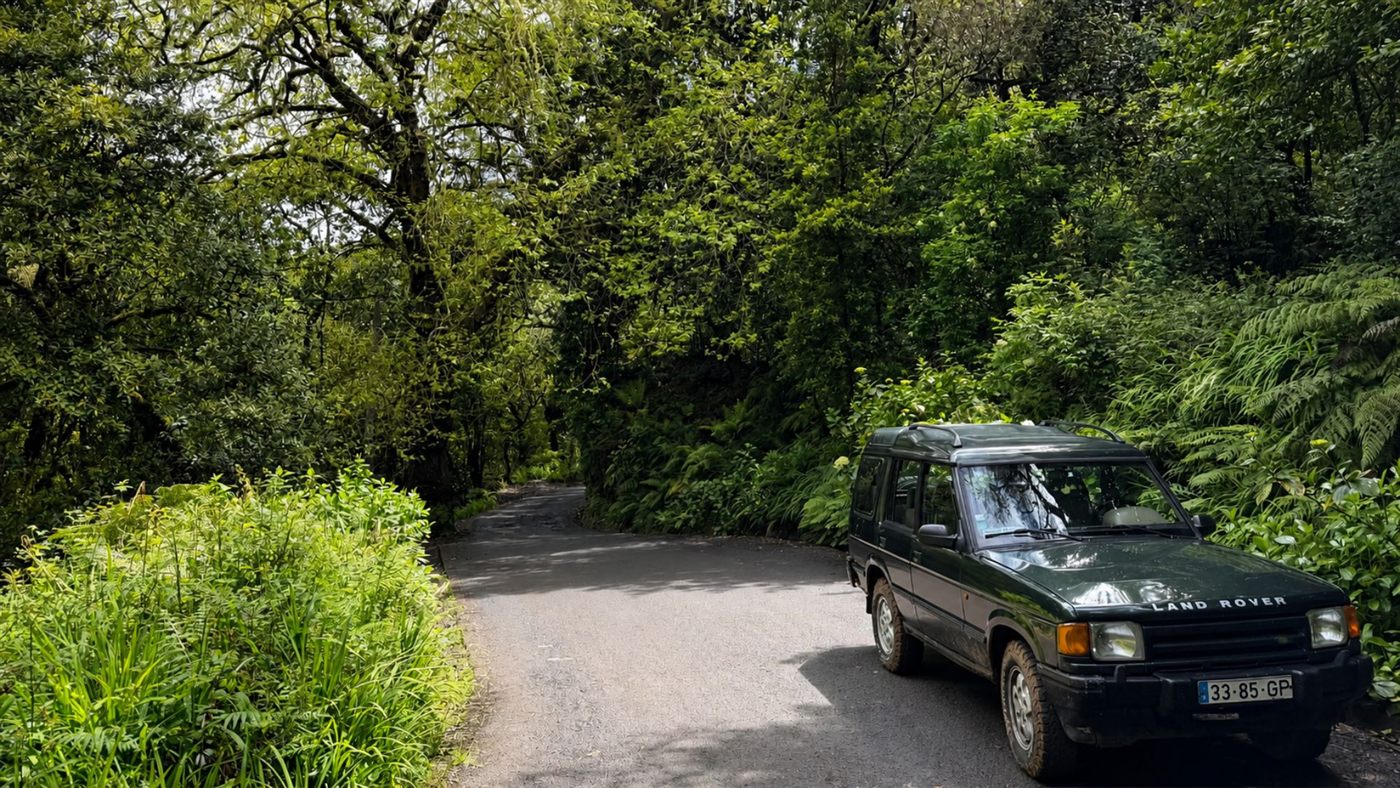 Land Rover Discovery on a forest road in West Madeira